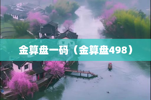 金算盘一码（金算盘498）