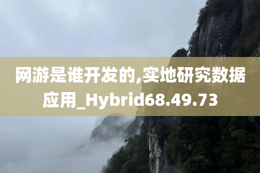 网游是谁开发的,实地研究数据应用_Hybrid68.49.73