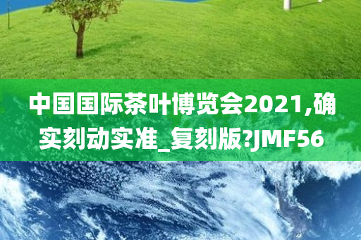 中国国际茶叶博览会2021,确实刻动实准_复刻版?JMF56