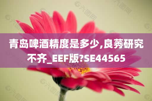 青岛啤酒精度是多少,良莠研究不齐_EEF版?SE44565