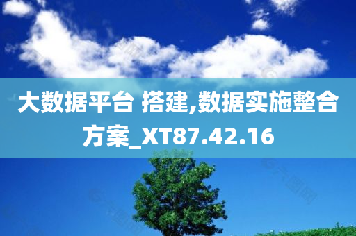 大数据平台 搭建,数据实施整合方案_XT87.42.16