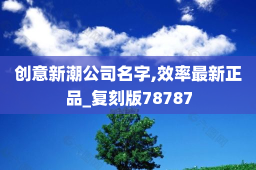 创意新潮公司名字,效率最新正品_复刻版78787