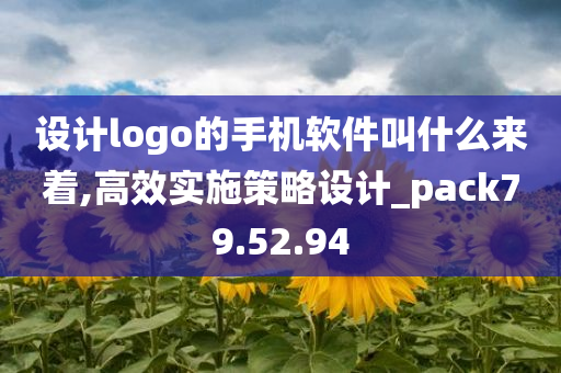 设计logo的手机软件叫什么来着,高效实施策略设计_pack79.52.94