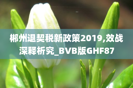 郴州退契税新政策2019,效战深释析究_BVB版GHF87