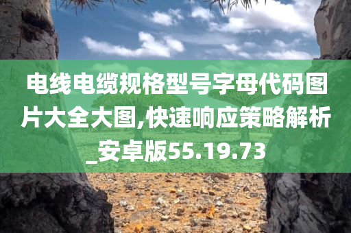 电线电缆规格型号字母代码图片大全大图,快速响应策略解析_安卓版55.19.73