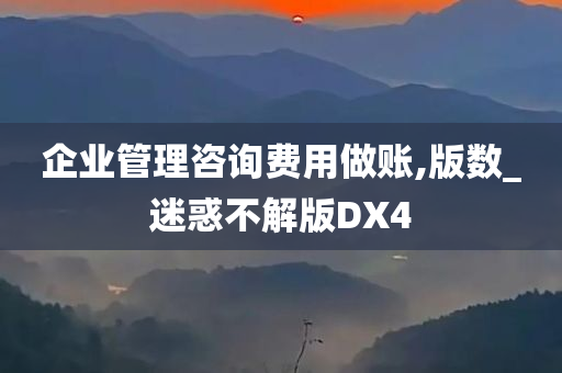 企业管理咨询费用做账,版数_迷惑不解版DX4