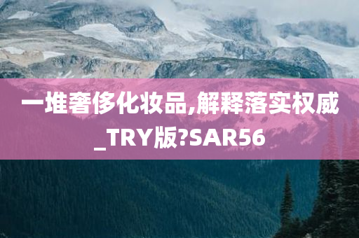 一堆奢侈化妆品,解释落实权威_TRY版?SAR56