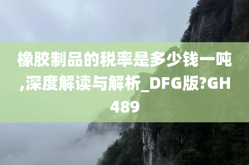 橡胶制品的税率是多少钱一吨,深度解读与解析_DFG版?GH489