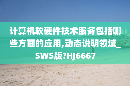 计算机软硬件技术服务包括哪些方面的应用,动态说明领域_SWS版?HJ6667