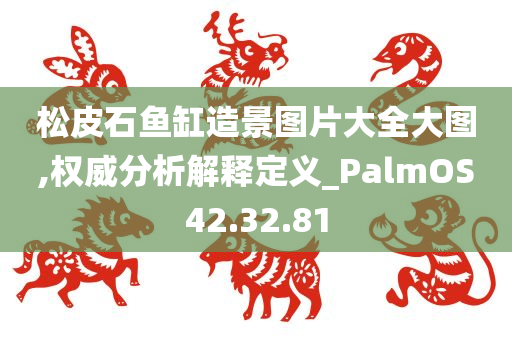 松皮石鱼缸造景图片大全大图,权威分析解释定义_PalmOS42.32.81