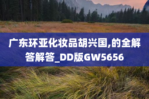 广东环亚化妆品胡兴国,的全解答解答_DD版GW5656