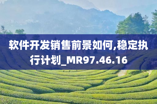 软件开发销售前景如何,稳定执行计划_MR97.46.16