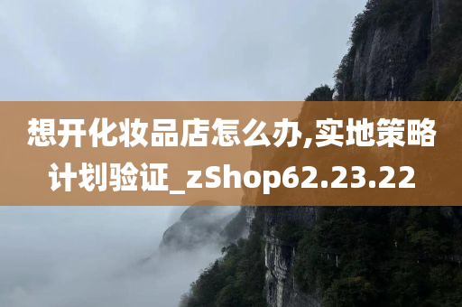 想开化妆品店怎么办,实地策略计划验证_zShop62.23.22