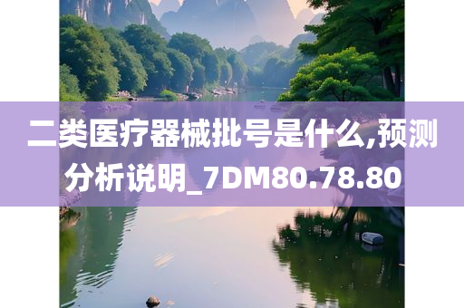 二类医疗器械批号是什么,预测分析说明_7DM80.78.80