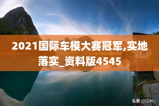 2021国际车模大赛冠军,实地落实_资料版4545