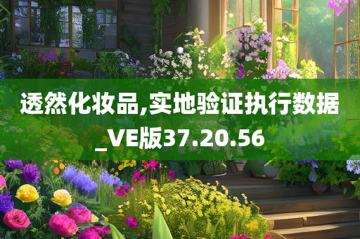 透然化妆品,实地验证执行数据_VE版37.20.56