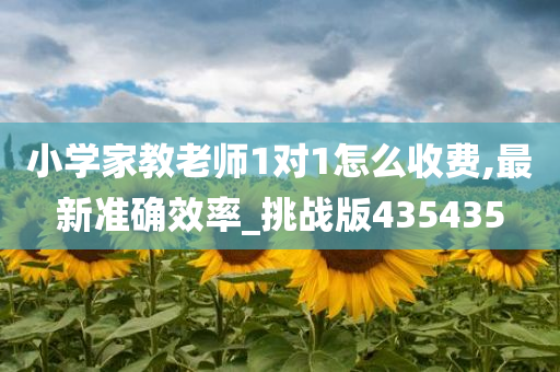 小学家教老师1对1怎么收费,最新准确效率_挑战版435435