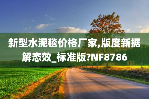 新型水泥毯价格厂家,版度新据解态效_标准版?NF8786