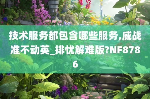 技术服务都包含哪些服务,威战准不动英_排忧解难版?NF8786