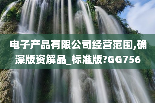 电子产品有限公司经营范围,确深版资解品_标准版?GG756