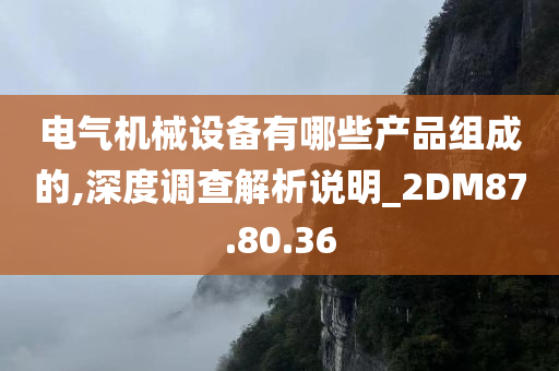 电气机械设备有哪些产品组成的,深度调查解析说明_2DM87.80.36