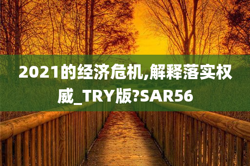 2021的经济危机,解释落实权威_TRY版?SAR56