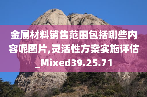 金属材料销售范围包括哪些内容呢图片,灵活性方案实施评估_Mixed39.25.71