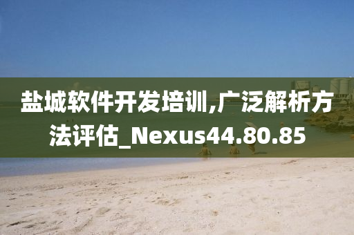 盐城软件开发培训,广泛解析方法评估_Nexus44.80.85