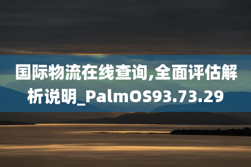 国际物流在线查询,全面评估解析说明_PalmOS93.73.29