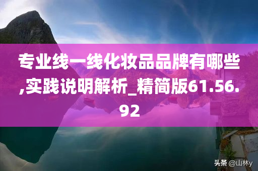 专业线一线化妆品品牌有哪些,实践说明解析_精简版61.56.92