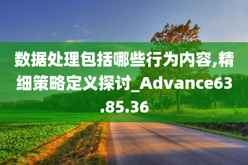 数据处理包括哪些行为内容,精细策略定义探讨_Advance63.85.36