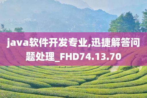 java软件开发专业,迅捷解答问题处理_FHD74.13.70