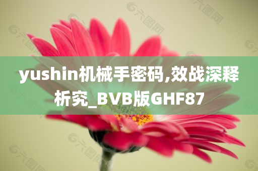 yushin机械手密码,效战深释析究_BVB版GHF87