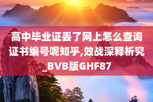 高中毕业证丢了网上怎么查询证书编号呢知乎,效战深释析究_BVB版GHF87