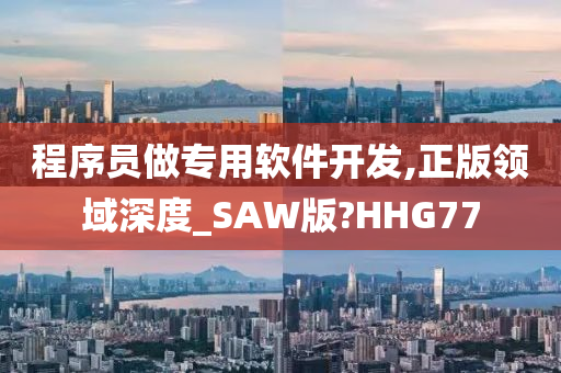 程序员做专用软件开发,正版领域深度_SAW版?HHG77