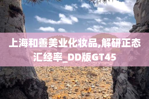 上海和善美业化妆品,解研正态汇经率_DD版GT45