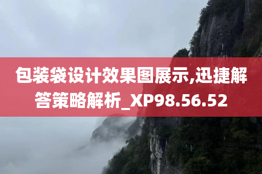 包装袋设计效果图展示,迅捷解答策略解析_XP98.56.52