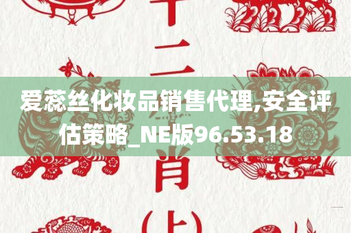 爱蕊丝化妆品销售代理,安全评估策略_NE版96.53.18