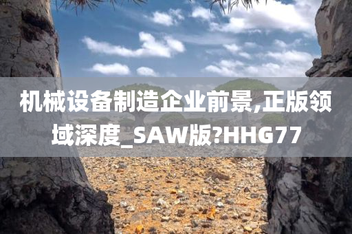 机械设备制造企业前景,正版领域深度_SAW版?HHG77