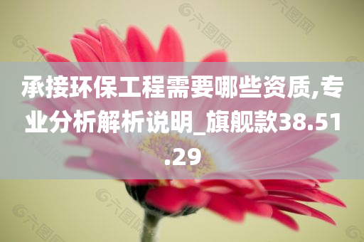 承接环保工程需要哪些资质,专业分析解析说明_旗舰款38.51.29