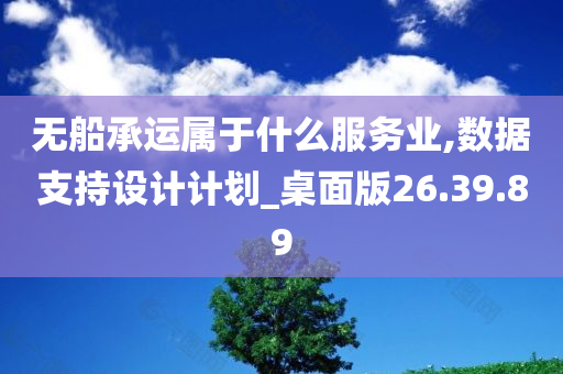 无船承运属于什么服务业,数据支持设计计划_桌面版26.39.89