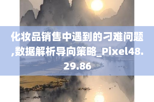 化妆品销售中遇到的刁难问题,数据解析导向策略_Pixel48.29.86