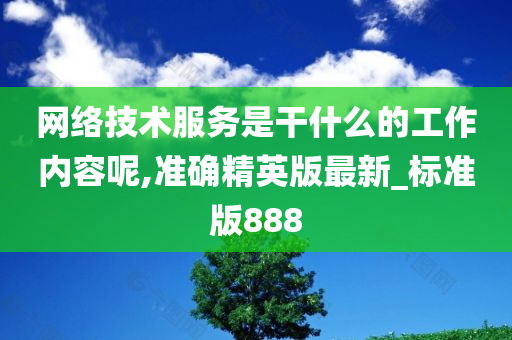 网络技术服务是干什么的工作内容呢,准确精英版最新_标准版888