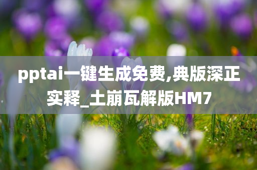 pptai一键生成免费,典版深正实释_土崩瓦解版HM7