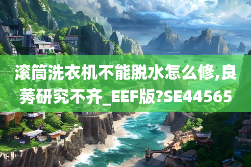 滚筒洗衣机不能脱水怎么修,良莠研究不齐_EEF版?SE44565