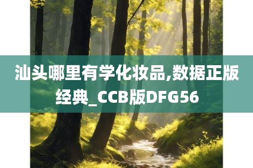 汕头哪里有学化妆品,数据正版经典_CCB版DFG56