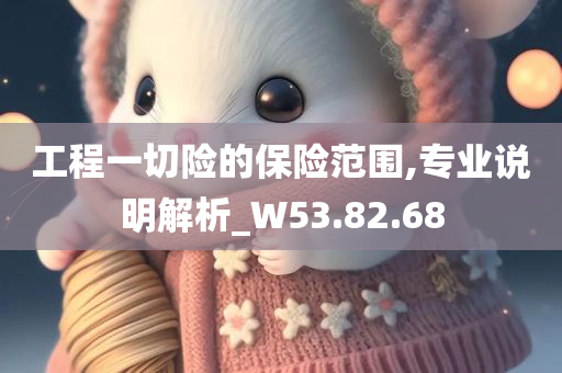 工程一切险的保险范围,专业说明解析_W53.82.68