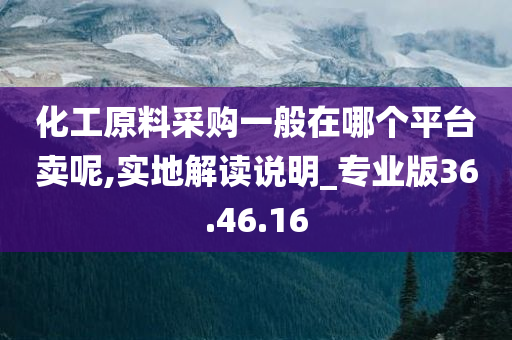 化工原料采购一般在哪个平台卖呢,实地解读说明_专业版36.46.16