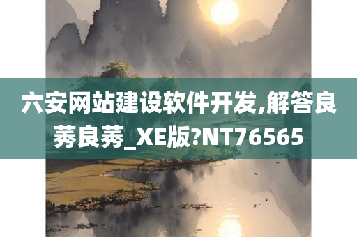 六安网站建设软件开发,解答良莠良莠_XE版?NT76565