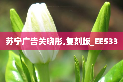 苏宁广告关晓彤,复刻版_EE533